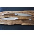 6 Laguiole En Aubrac pistaschträdet Stek knivar